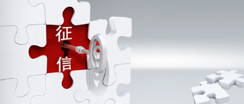 践行合规运营新篇章 桔子分期与百行征信正式建立互联网征信服务合作